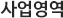 사업영역